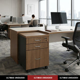 Gaveteiro Volante com 2 Gavetas e 1 Gaveta para Pasta Suspensa - SM Alfa BP - 64AX50LX46P